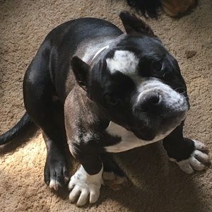 Meet your Posher, Danielle